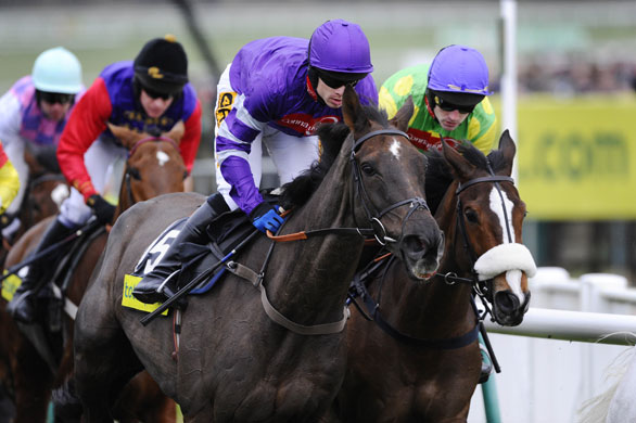 Cheltenham Gold Cup Day: Denman