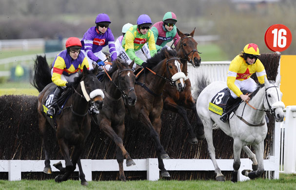Cheltenham Gold Cup Day: first fence