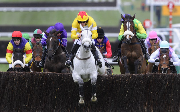 Cheltenham Gold Cup Day: Neptune Collonges