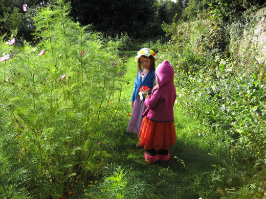 In pictures: Absorbed: Carol Warren