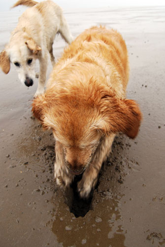 In pictures: Absorbed: Jez