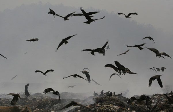 24 hours in pictures: Gauhati, India: A rag picker collects recyclable materials