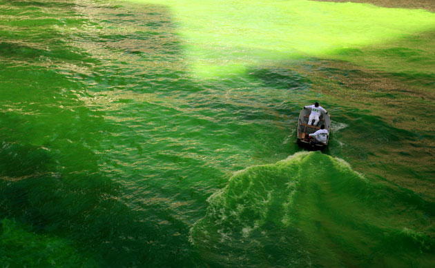 24 hours in pictures: Chicago, USA: Chicago Journeymen Plumbers stir green dye in the river