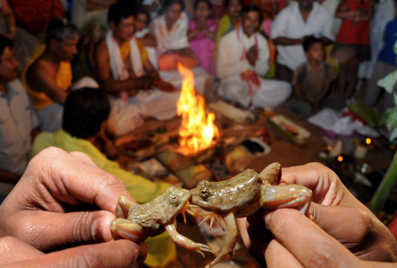 24 hours in pictures: Guwahati city, India: A frog marriage ceremony as a ritual to the Rain Gods