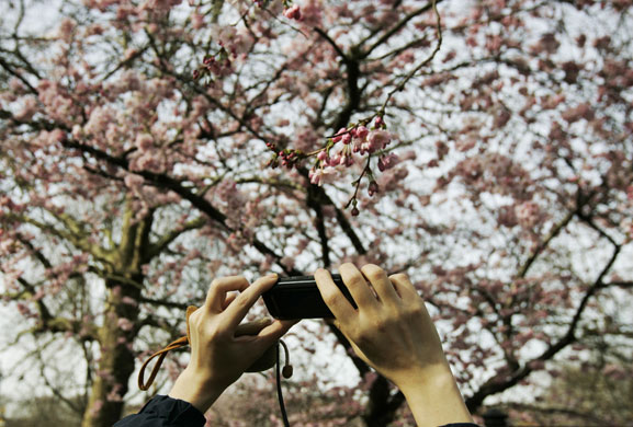 Warm weather in UK : Warm weather in UK 