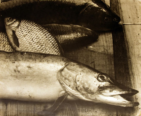 Blanc et Demilly: Blanc et Demilly Exhibition in London