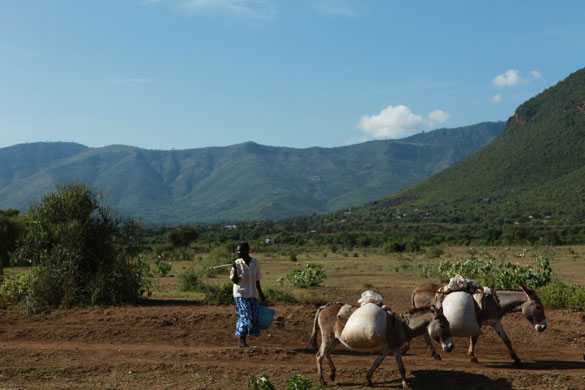 Kenyan Maternal Health: Kenyan Mental Health