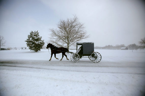 Snowstorm in US: An Amish Buggy travels through the snow in St Mary's County, Maryland