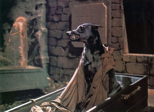 Best in Show: Zoltan, Hound of Dracula