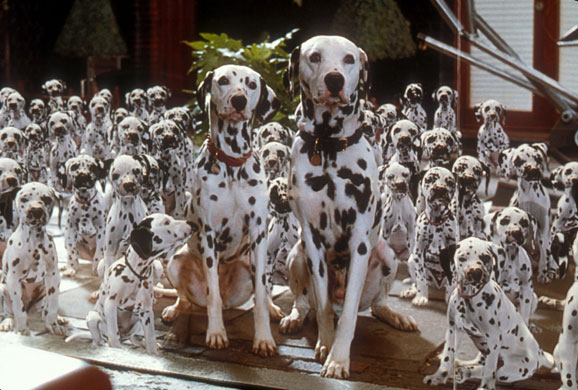 Best in Show: 101 Dalmations