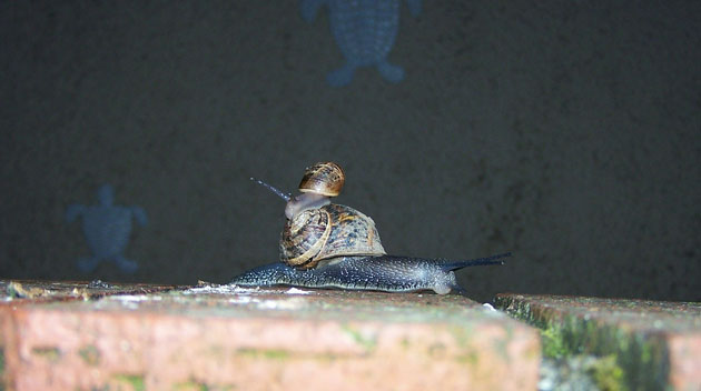 In Pictures: Mothers: Jeane Smith