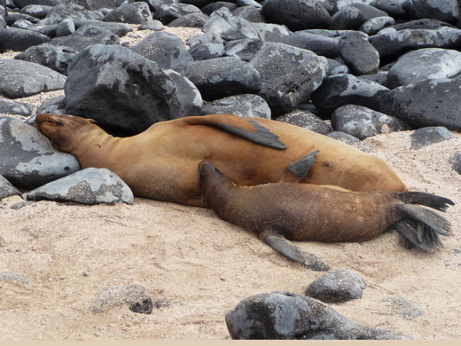 In Pictures: Mothers: Liz Mason