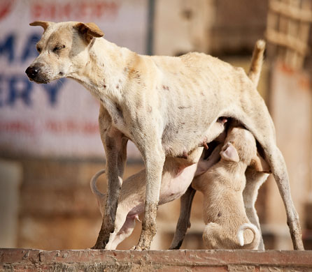 In Pictures: Mothers: Sally Skinner