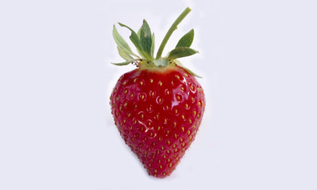 A single strawberry