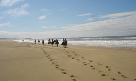 Pictures Of Horses On The Beach. Horse riding along the each