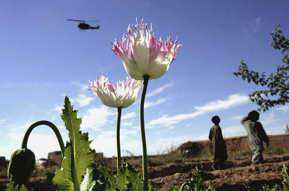Hamid Karzai : Opium in Aghanistan 