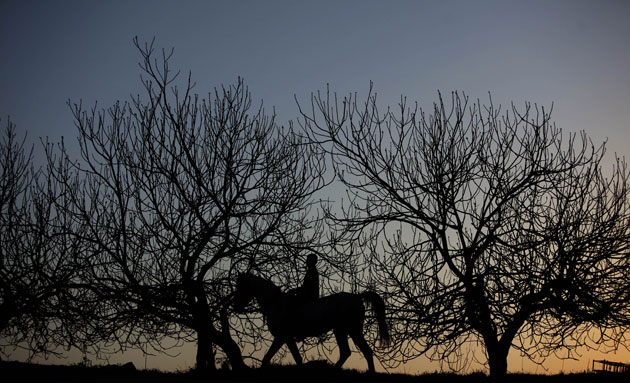 24 hours: A Palestinian rides a horse as the sun sets in  Ramallah