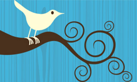 Twitter bird logo