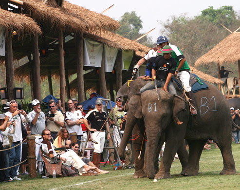 24sport: Elephant polo exhibition match