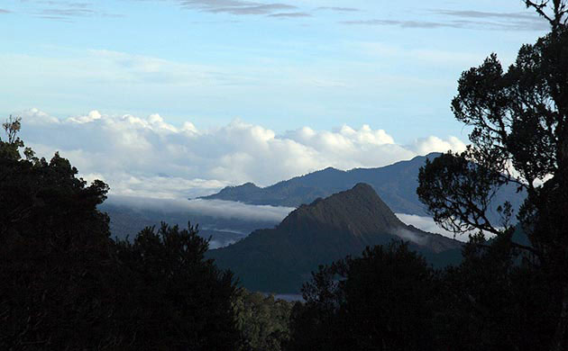 New Species Discovered: The Kaijende highlands and Hewa wilderness Papua New Guinea