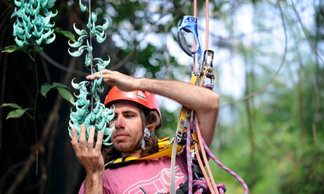 animals in rainforest biome. at the Rainforest Biome at