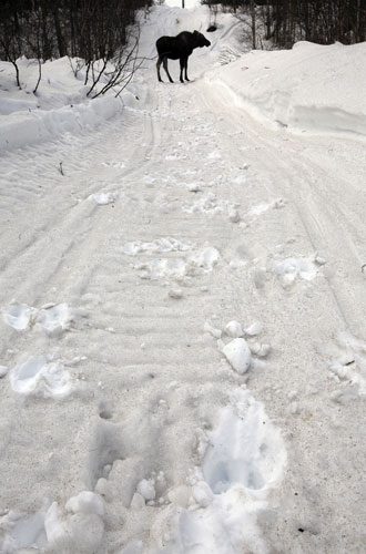 Mount Redoubt: Volcano unrest, Alaska, US