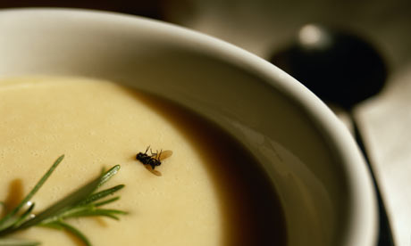 Fly in a bowl of soup