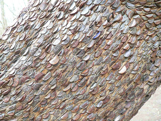 In Pictures: change: David White