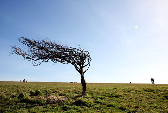 In Pictures: change: Torn Sagdahl