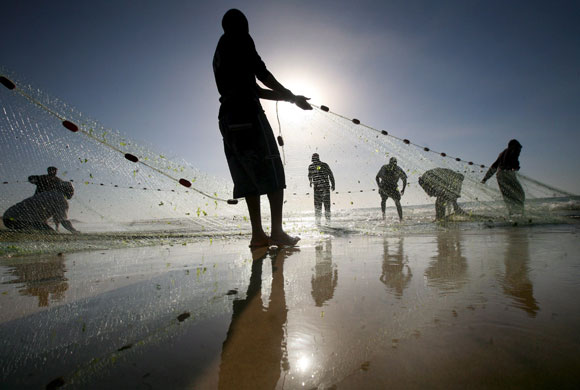 27 March 2009: Gaza City, Gaza Strip: Fishermen collect fish from their nets