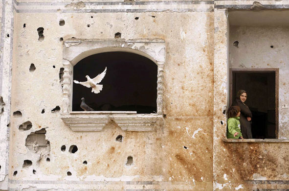 3 March 2009: Rafah, Gaza Strip: Palestinians stand on the balcony of their damaged house