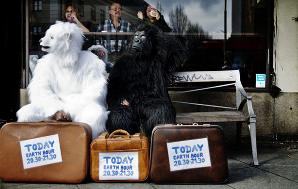 Earth Hour: Students dressed as polar bears and gorillas in Gothenburg, Sweden