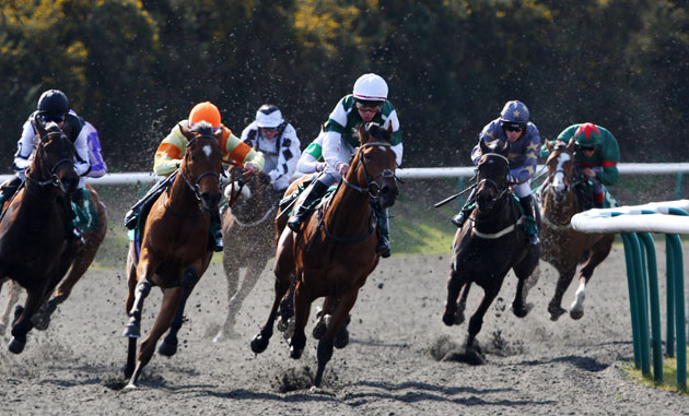 Sport: 24 hours: Runners and riders in action at Lingfield Races