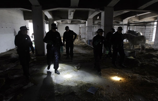 G20: A police search team carry out checks near the ExCeL centre