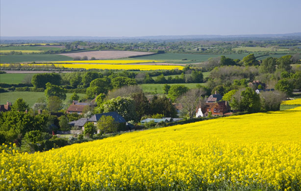 South Downs National Park: South Downs landscape near Milton Street, Eastbourne, Sussex