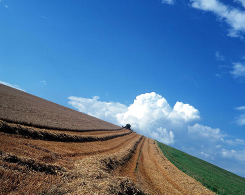 South Downs National Park: Tractor in the distance, South Downs in Firle, Sussex