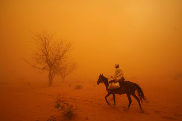 Darfur atrocities: A man rides horseback into a sandstorm from violence-plagued Darfur.
