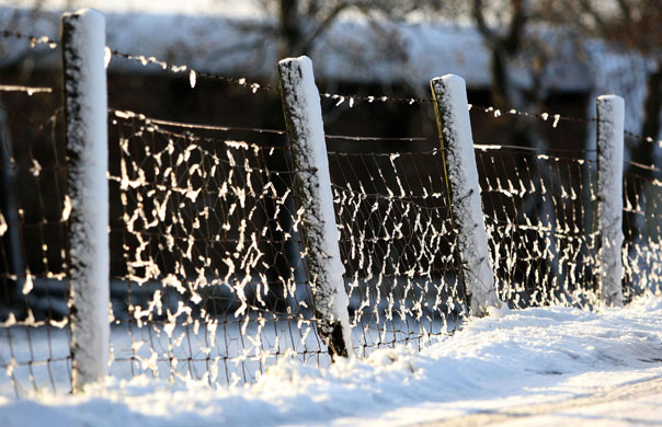 Snow in March: Ice and snow collects on a fence in Denny, Scotland.