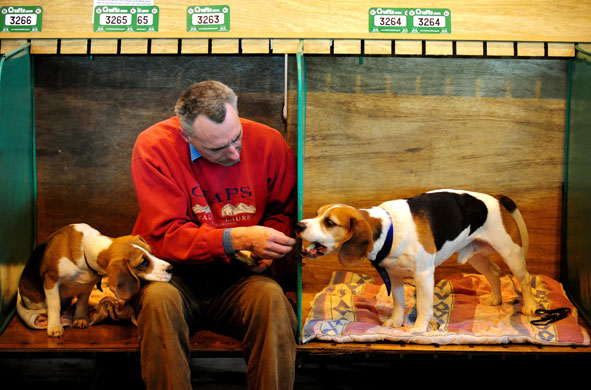 Crufts Gallery: Doors Open At Crufts 2009