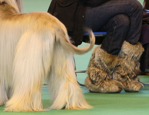 Crufts 2009: Doors Open at Crufts 2009