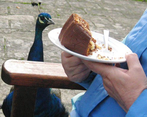 in pictures: trading up: Ian Nolan