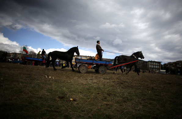 8 March 2009: Kremikovtzi, Bulgaria: A man rides a horse cart during a festival