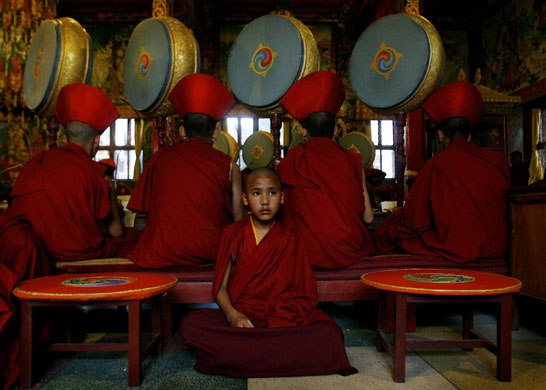 8 March 2009: Kathmandu, Nepal: A young Buddhist monk participates in a prayer