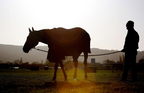 8 March 2009: Cheltenham: UK: Trainer Henry De Bromhead exercises Sizing Europe