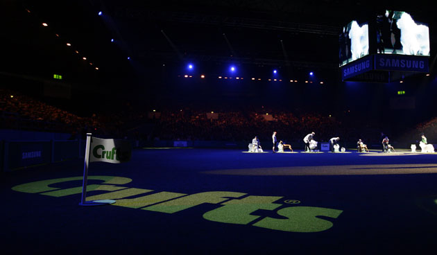 Crufts winners: The Crufts Best in Show finalists are judged in Birmingham