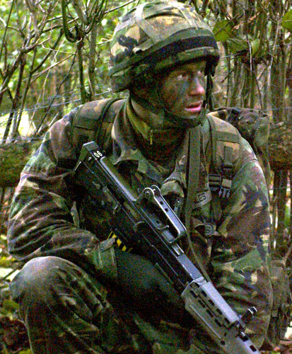 Prince William and Harry: Prince Harry at Sandhurst 