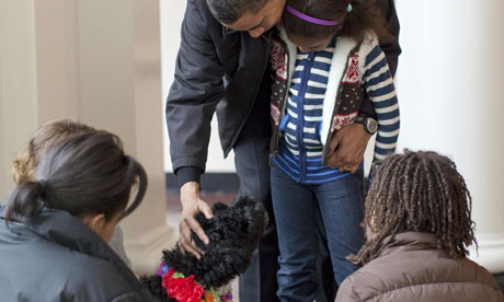President Barack Obama pets Bo, a six-month old male Portuguese water dog