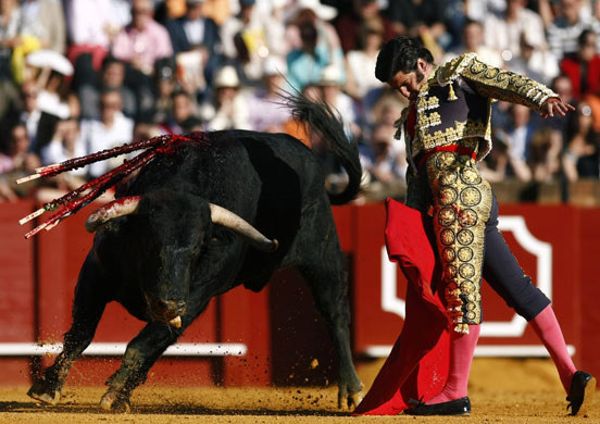 Bullfight season starts: Bullfighter Morante de la Puebla performs a pass to a bull 