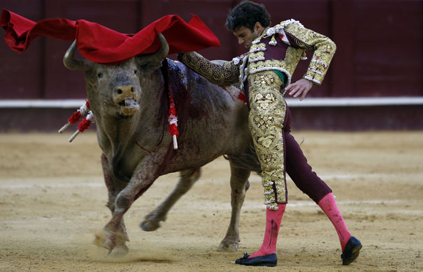 Bullfight season starts: Jose Tomas