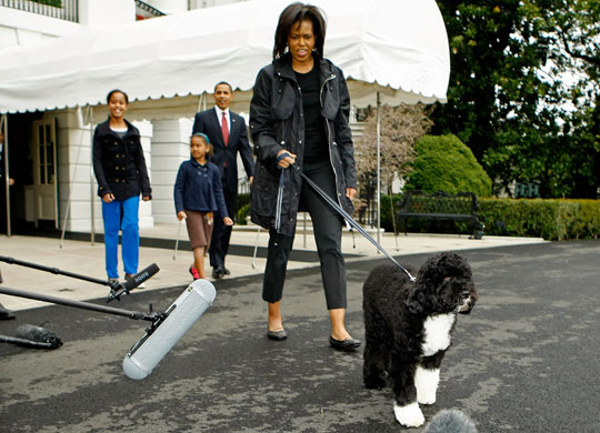 barack obama family. Obama Family With Bo